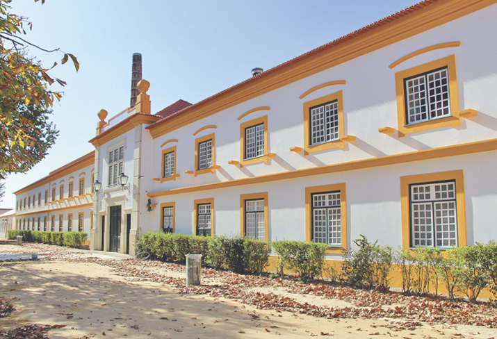 Projeto de Regulamento do Museu da Vista Alegre