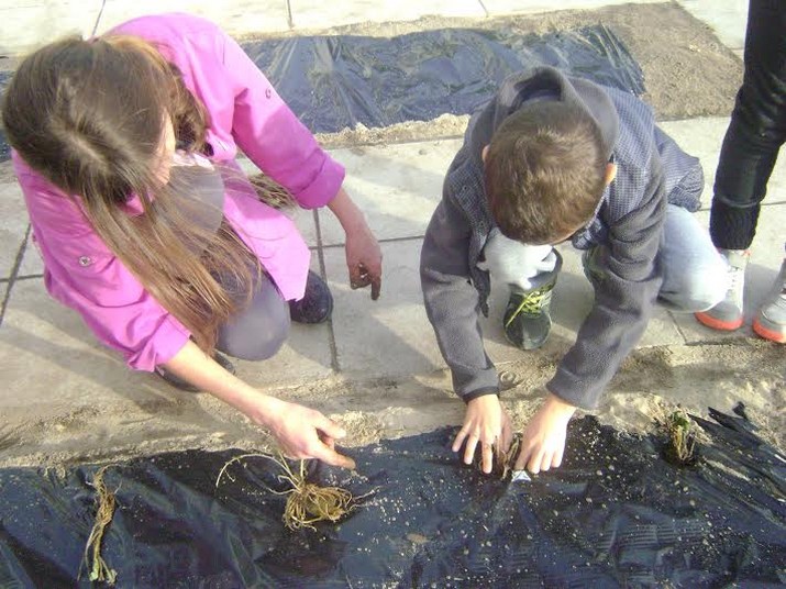 Escola do 1.º Ciclo da Barra alia o embelezamento dos Espaços Exteriores com a Alimentação Saudável