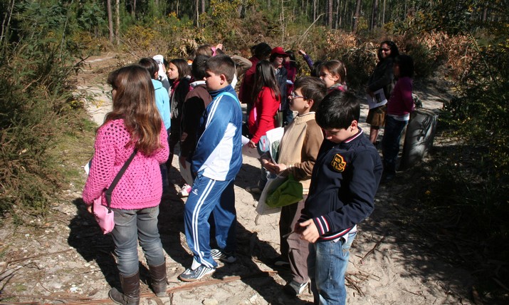Woodwtach, de Olho na Floresta