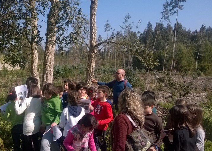 Woodwtach, de Olho na Floresta