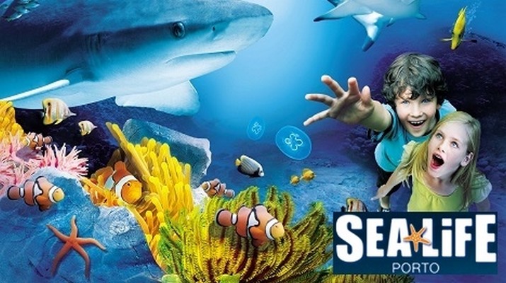 Alunos do 3.º ano visitam o Sea Life