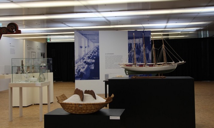 Inauguração da Exposição “Ílhavo, Terra Milenar” supera expetativas