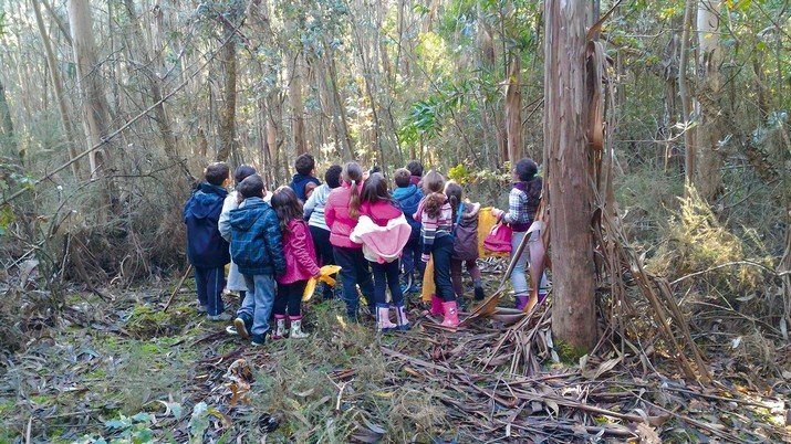 “Woodwatch, De Olho na Floresta” vai para o campo