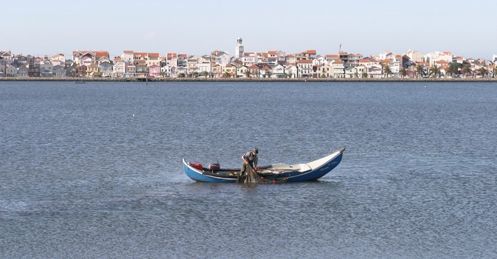 Município de Ílhavo lidera projeto de programação cultural em rede com Peniche e Murtosa 
