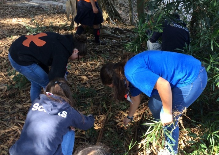 Município de Ílhavo assinala o Dia da Floresta Autóctone no Pinhal da Murteira