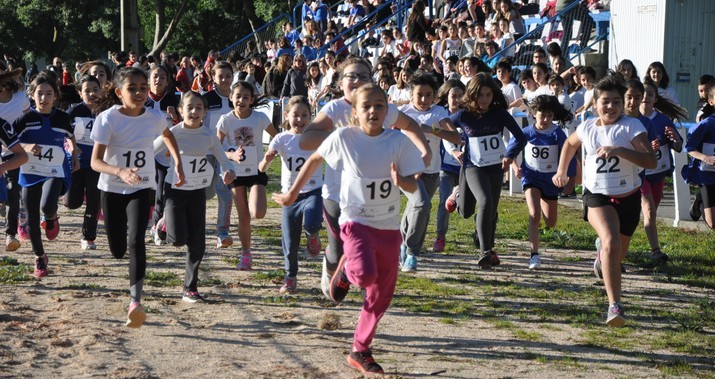 Corta-Mato Escolar Municipal 2018 envolve cerca de 500 alunos