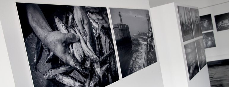 Pescas e Sustentabilidade marcam regresso das Conversas de Mar ao Museu Marítimo de Ílhavo