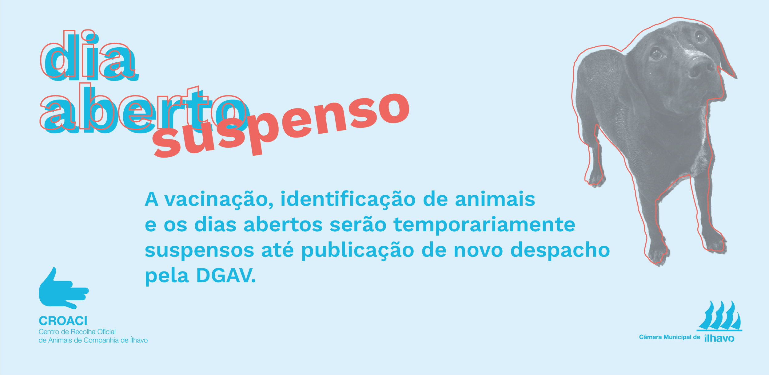 Suspensão temporária da Vacinação Antirrábica e Identificação Eletrónica de Animais