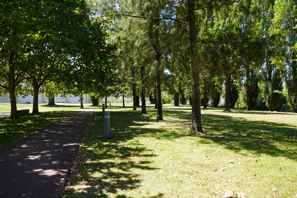 Abertura de Concurso Público para a Requalificação do Parque da Malhada, em Ílhavo