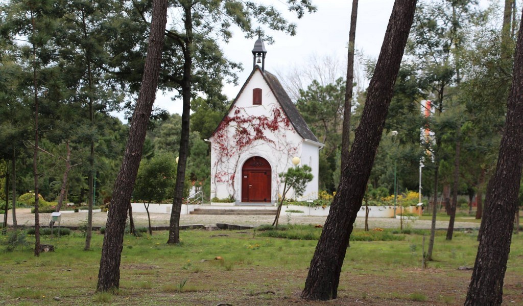 Rua do Santuário de Schoenstatt recebe 114 mil euros em requalificação