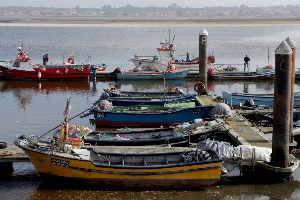 Mais de 213 mil euros para a Dragagem de Manutenção do Cais dos Pescadores, na Costa Nova