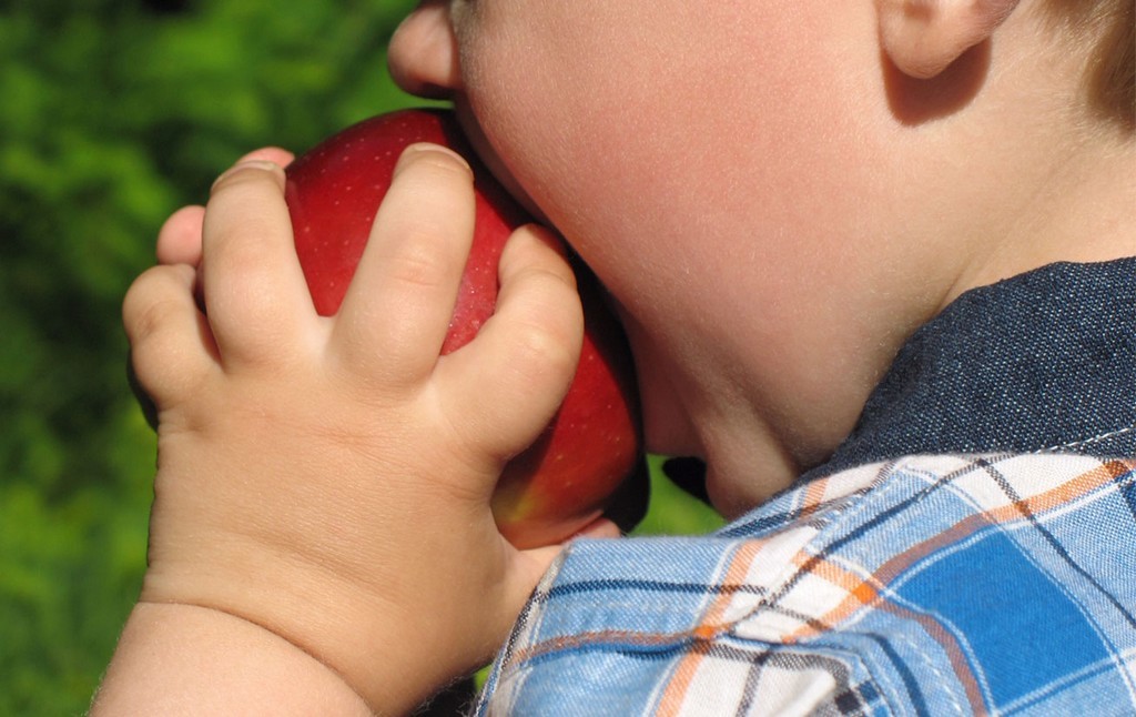 Câmara Municipal de Ílhavo lança projeto ABC da Saúde, sobre obesidade infantil