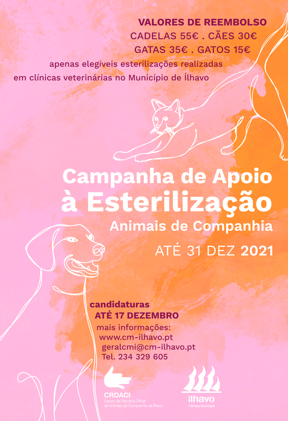 Câmara Municipal volta a promover campanha de esterilização animal, no CROACI