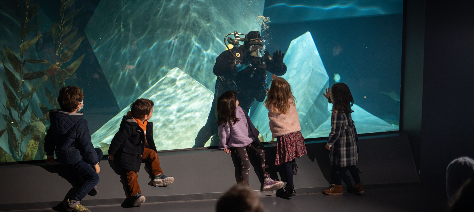 Museu Marítimo de Ílhavo lança “Páscoa no Museu” para crianças