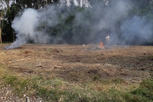 Aviso: Proibição de queimas de amontados e queimadas