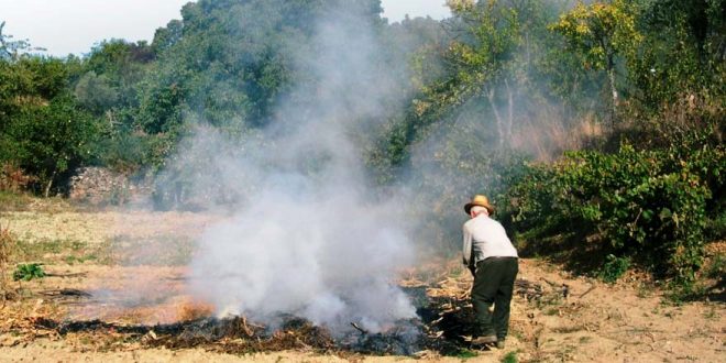 Aviso: Proibição de queimas e queimadas