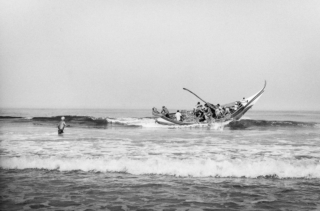 Museu Marítimo de Ílhavo assinala o Dia Nacional do Mar