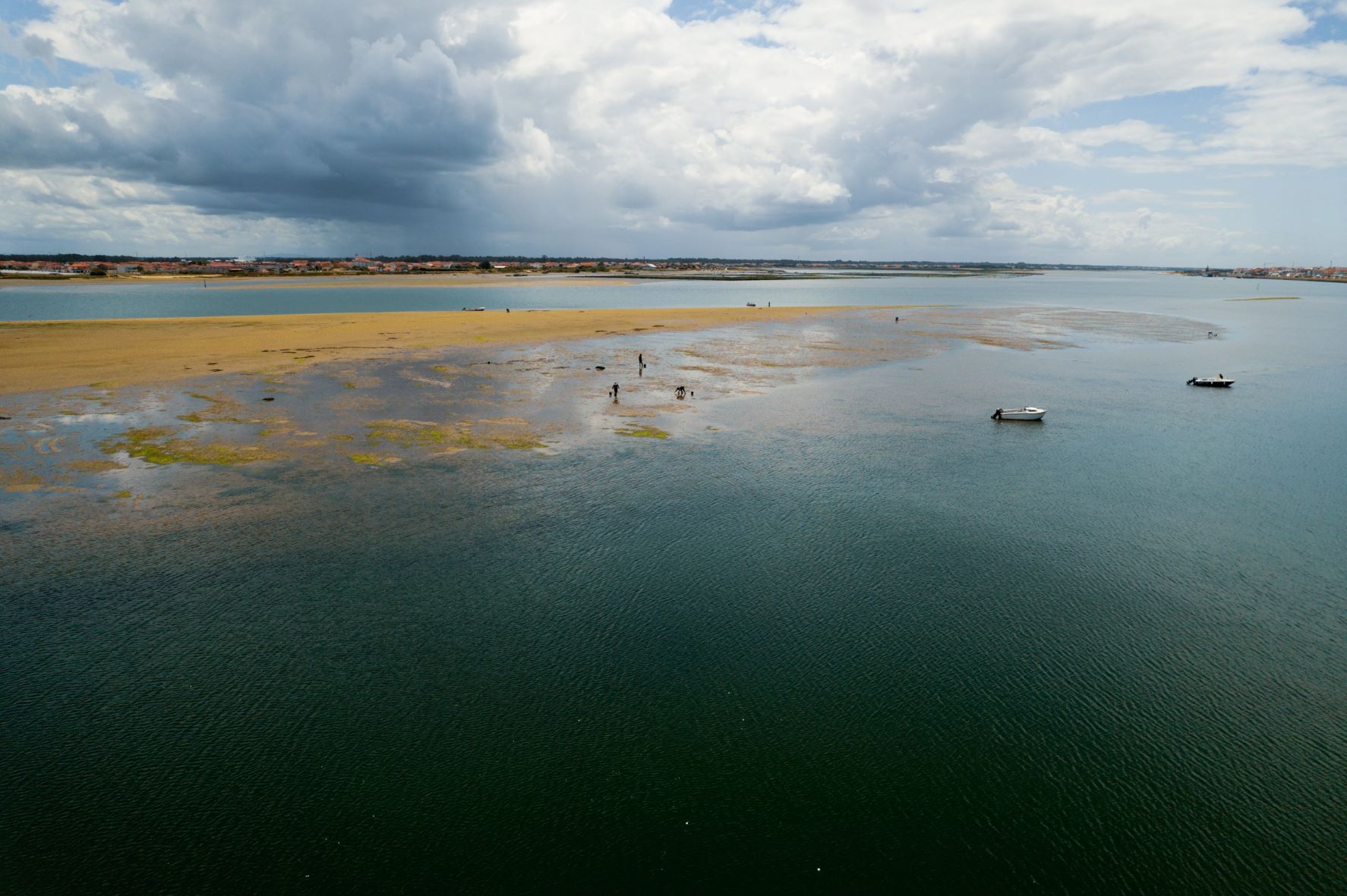 Museu Marítimo de Ílhavo acolhe Jornadas “Pesca Artesanal e Aquicultura”