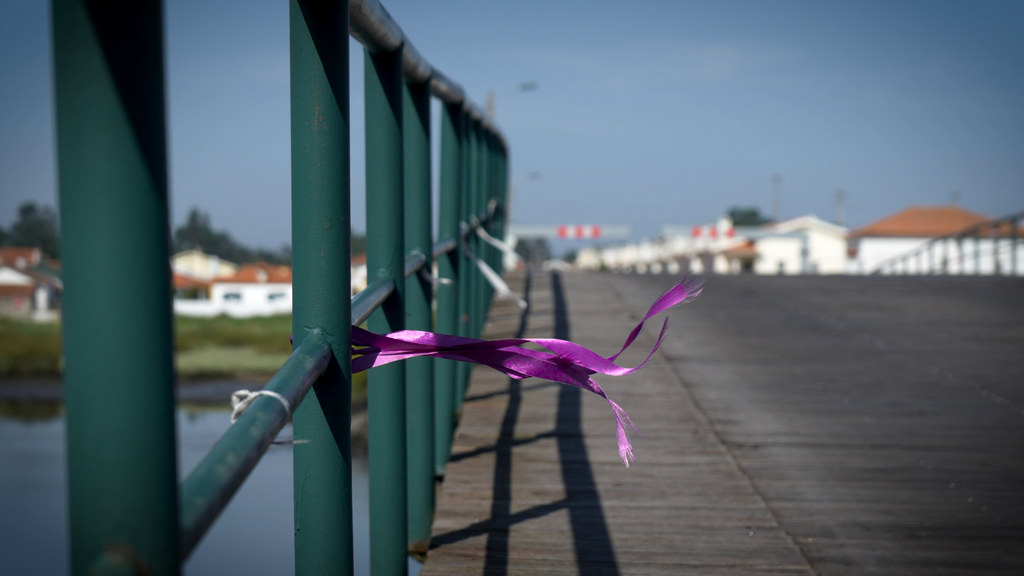 Comemoração do 46.º aniversário da abertura da 2.ª Ponte da Vista Alegre