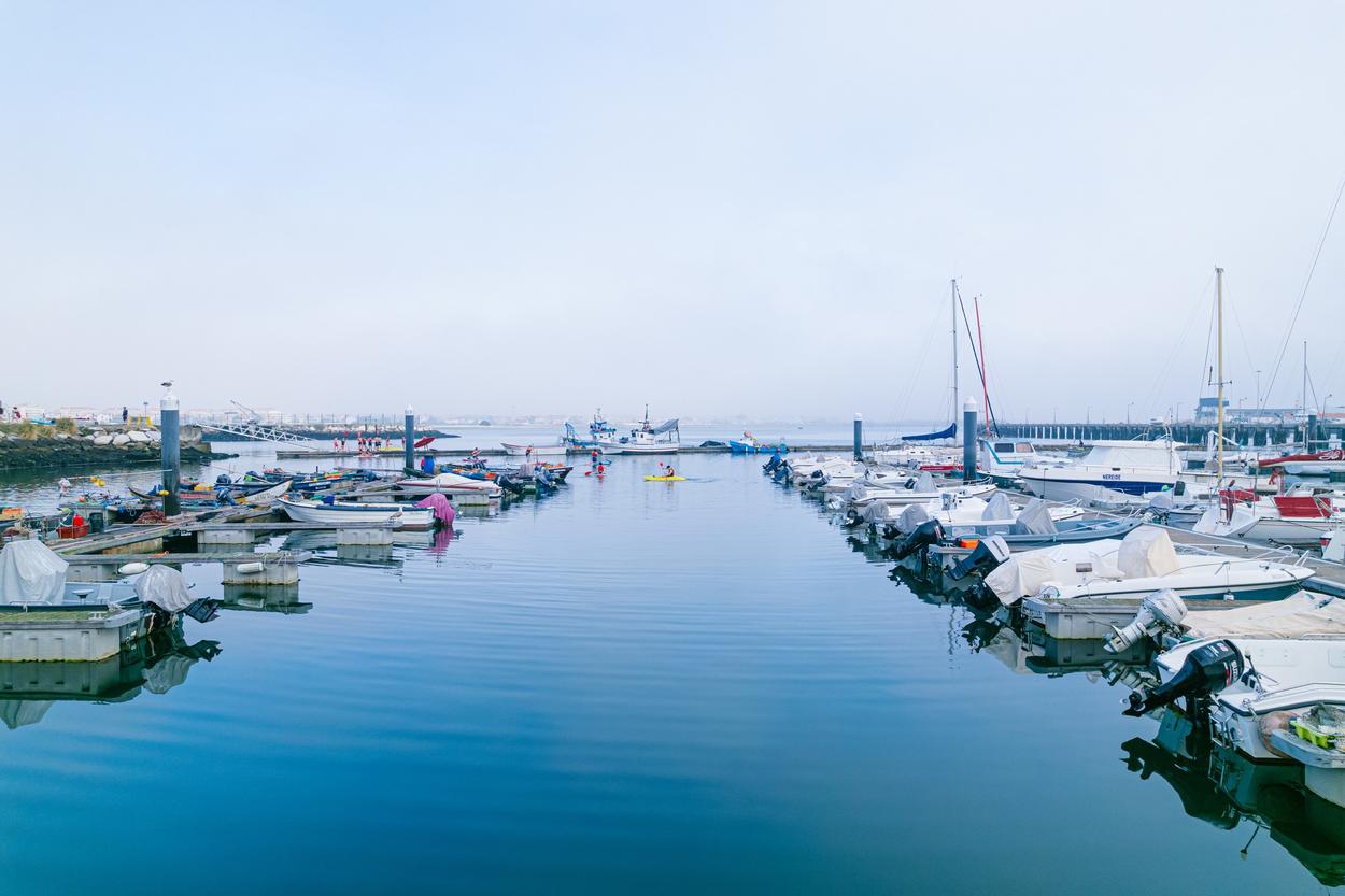 ExperimentaRia arranca hoje com turismo na Ria, pesca artesanal e gastronomia