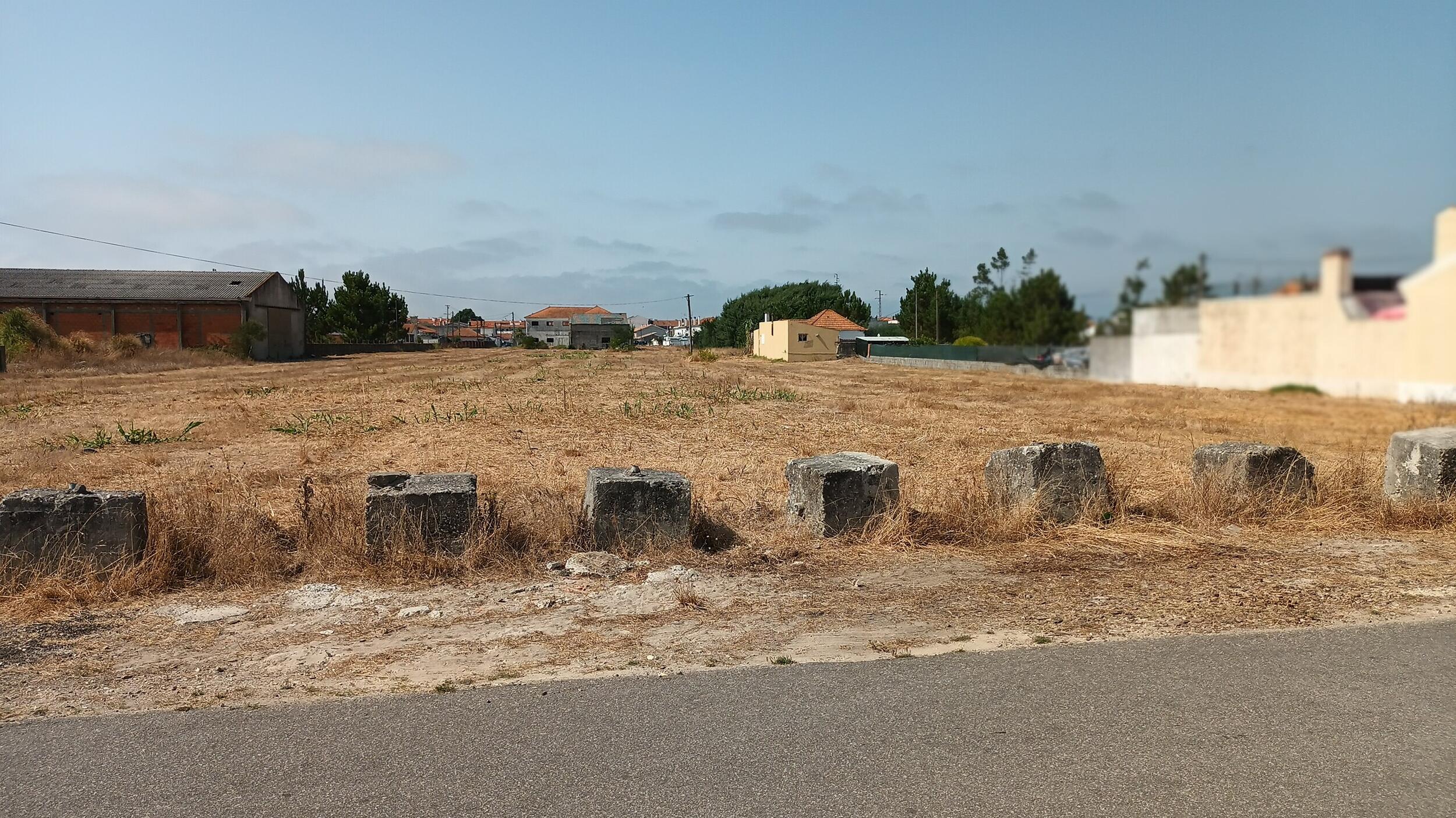 Município de Ílhavo promove sessões públicas sobre gestão de vegetação no interior de áreas edifi...