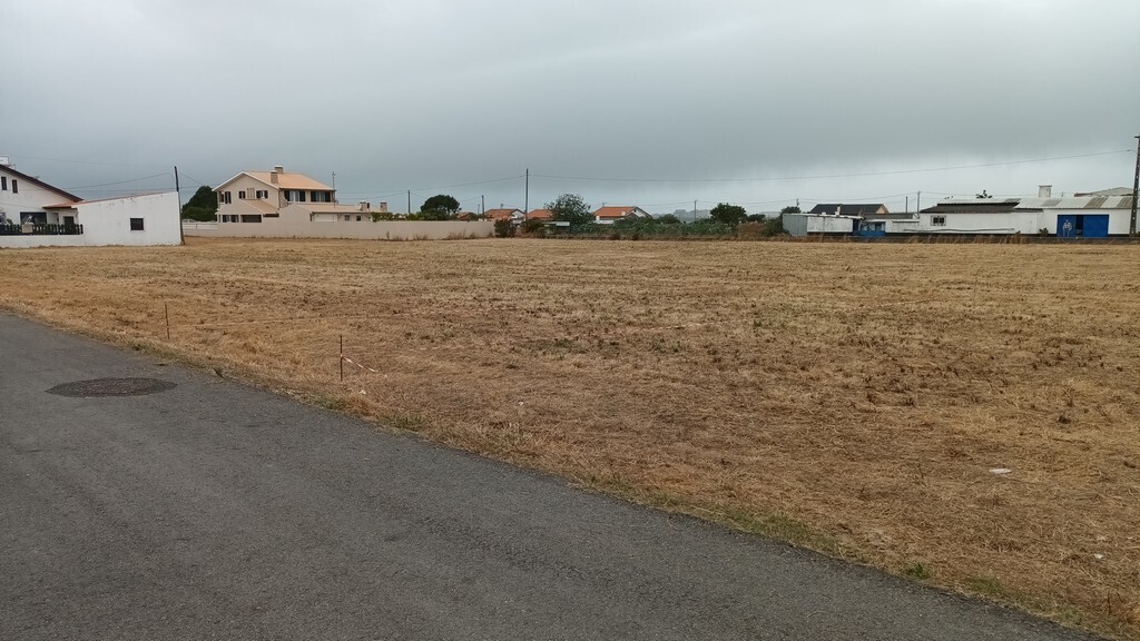 Regulamento de Gestão de Vegetação no Interior das Áreas Edificadas já entrou em vigor