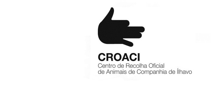Protocolo de Cooperação entre os Município de Ílhavo e Sever do Vouga – CROACI