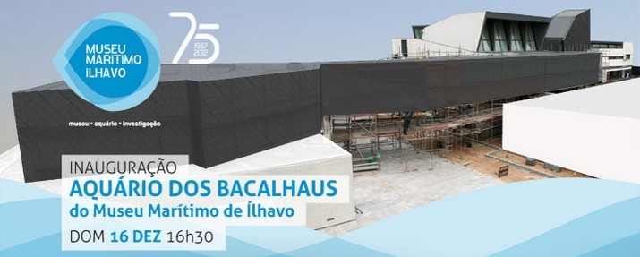 Aquário de Bacalhaus  do Museu Marítimo de Ílhavo - Inauguração