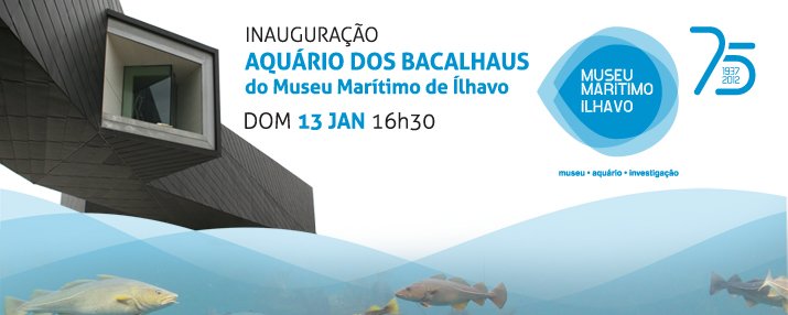Aquário de Bacalhaus  do Museu Marítimo de Ílhavo - nova data de inauguração -  