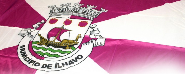 Quinze Anos a Liderar a Câmara Municipal de Ílhavo