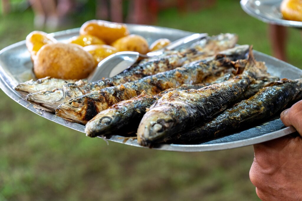 festival_da_sardinha