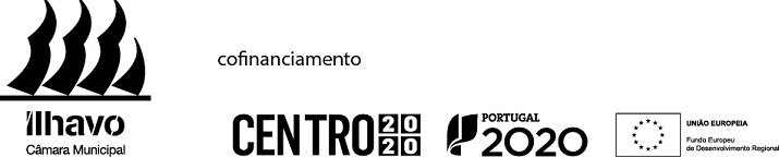 logos CMI e 2020 peq