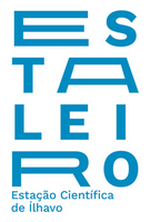 estaleiro logo