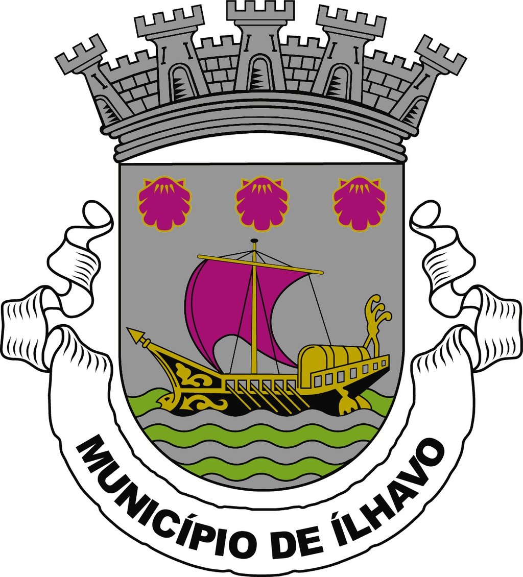 BRASÃO CMI